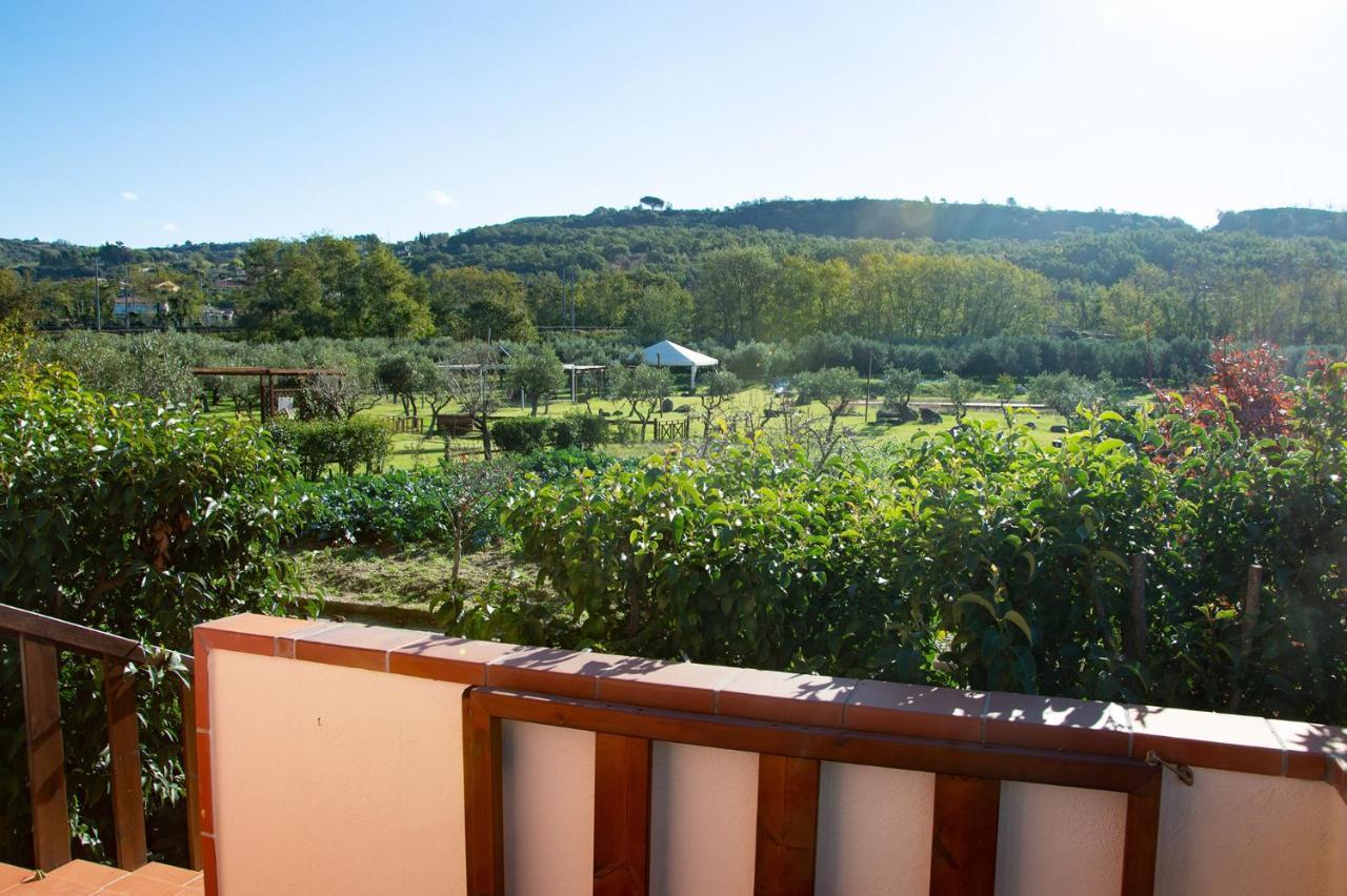 Iscairia Country House Ашеа Экстерьер фото
